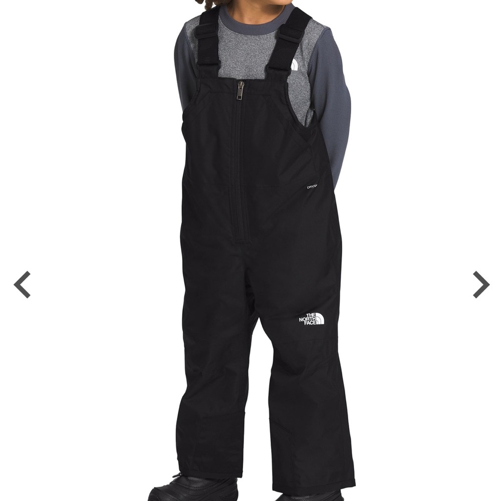 The North Face Boys' Freedom Insulated Bib - Picture 1 of 4